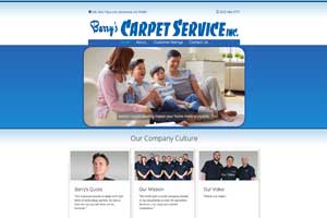 example of a carpet cleaning website
